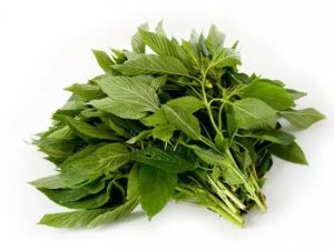 ربطة الخضرة